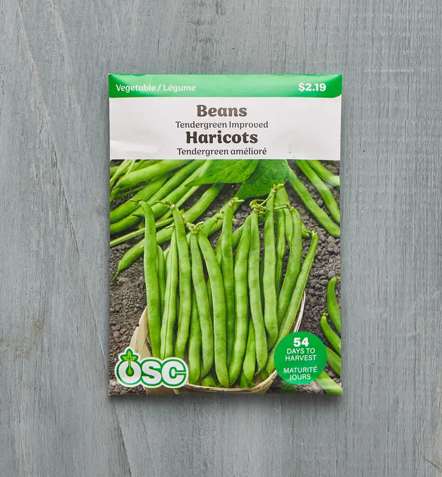 image of OSC Tendergreen Bush Bean Seed Packet