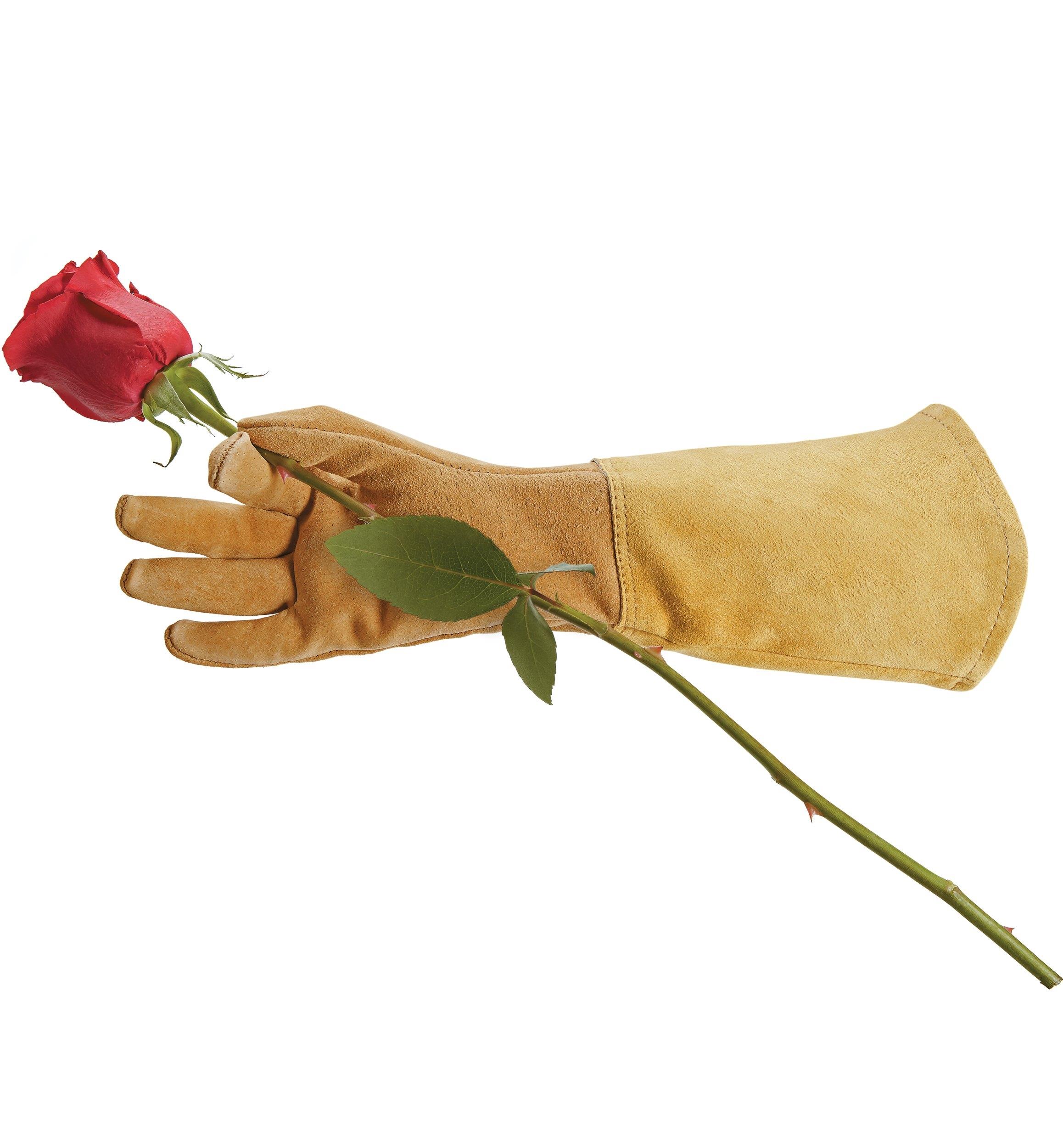 Gants pour rosiers