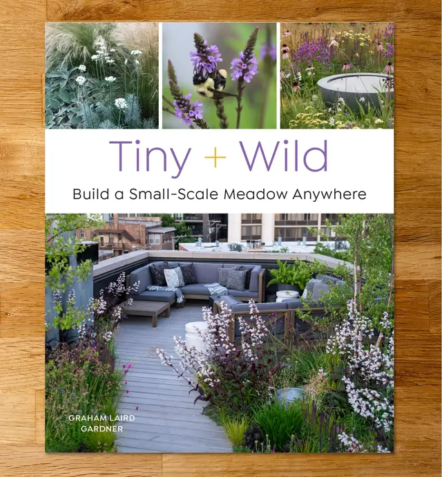 image of Tiny and Wild