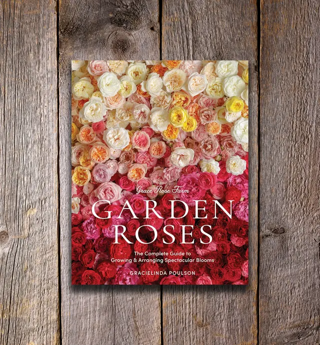 image of Grace Rose Farm: Garden Roses