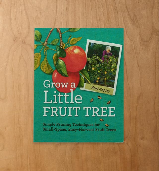 image of Grow a Little Fruit Tree