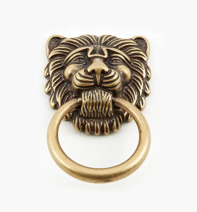 image of Lion's Head Ring Pulls