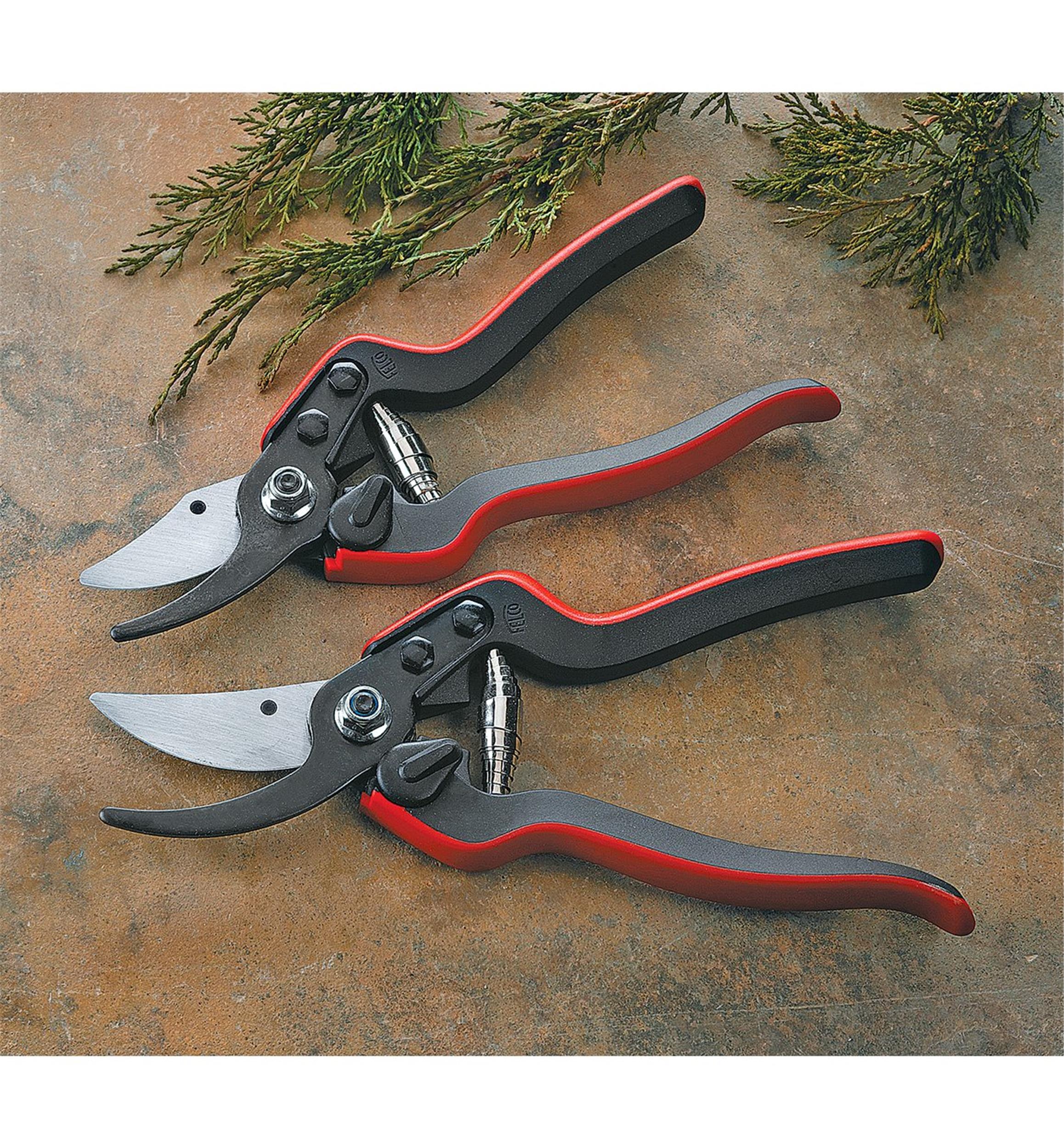 Felco Pruners