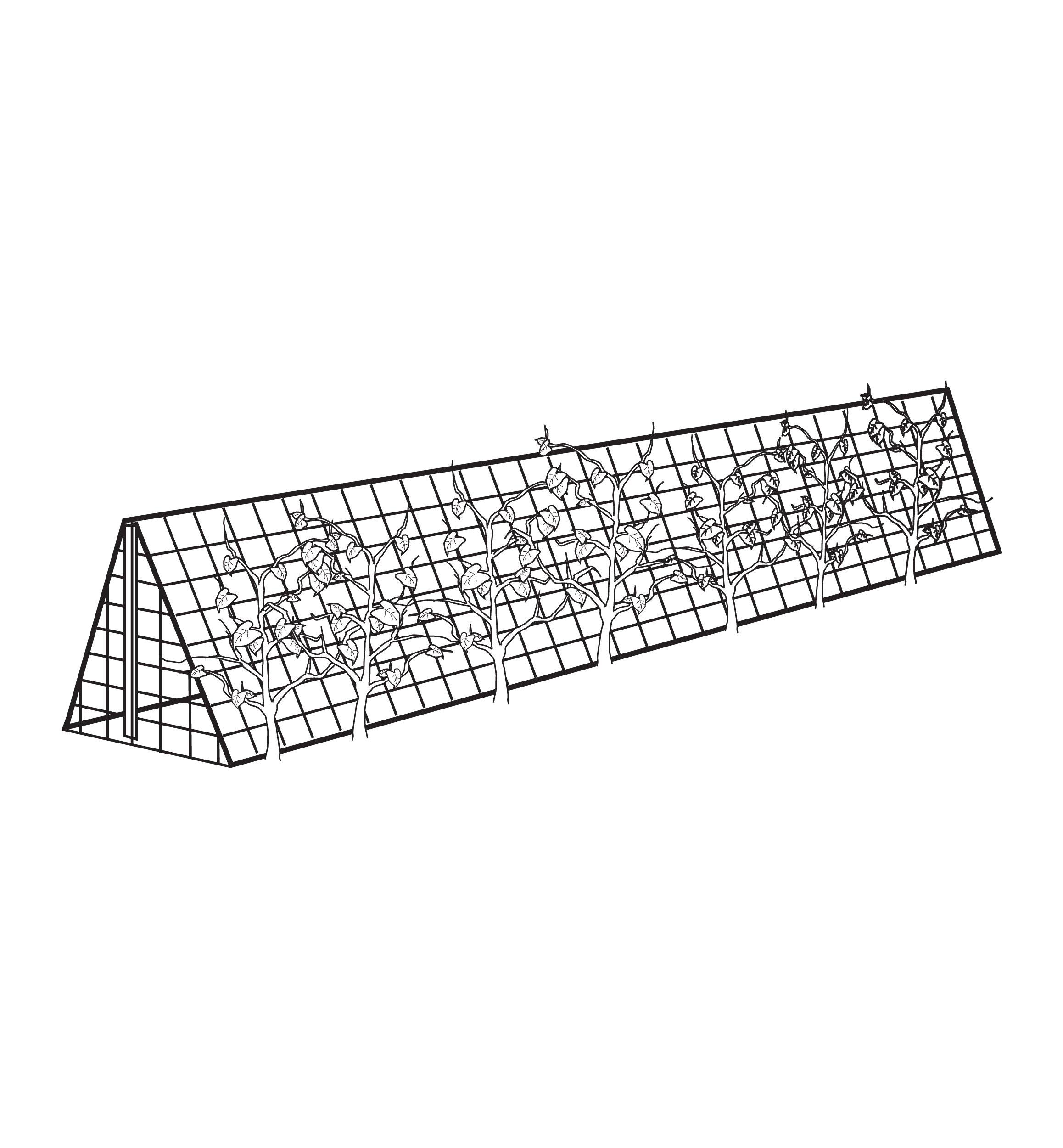 Garden Netting