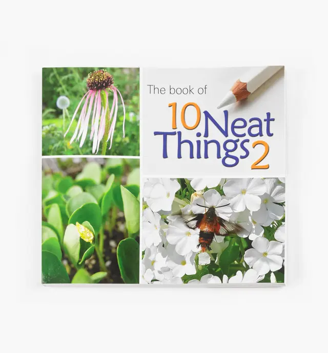 image of The Book of 10 Neat Things 2