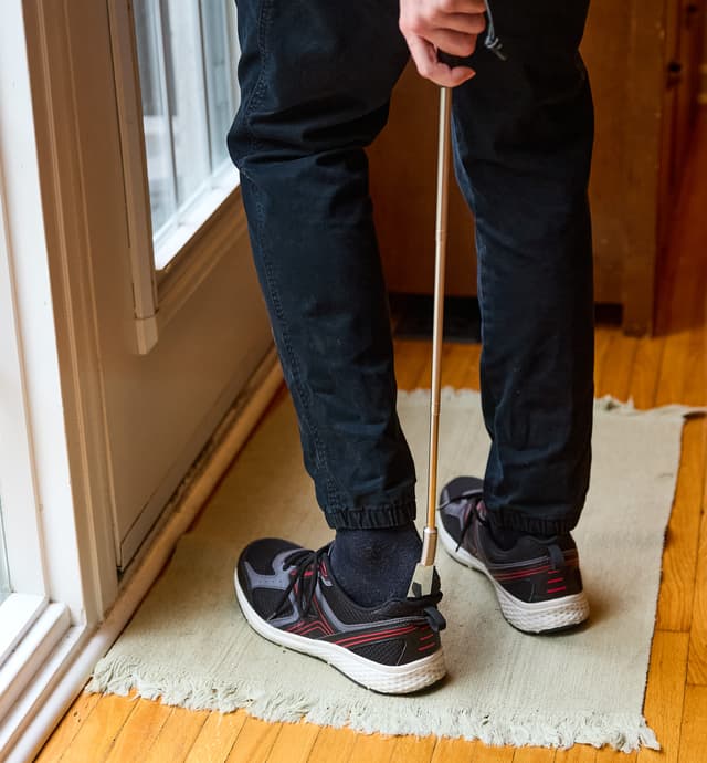 image of Extendable Shoehorn