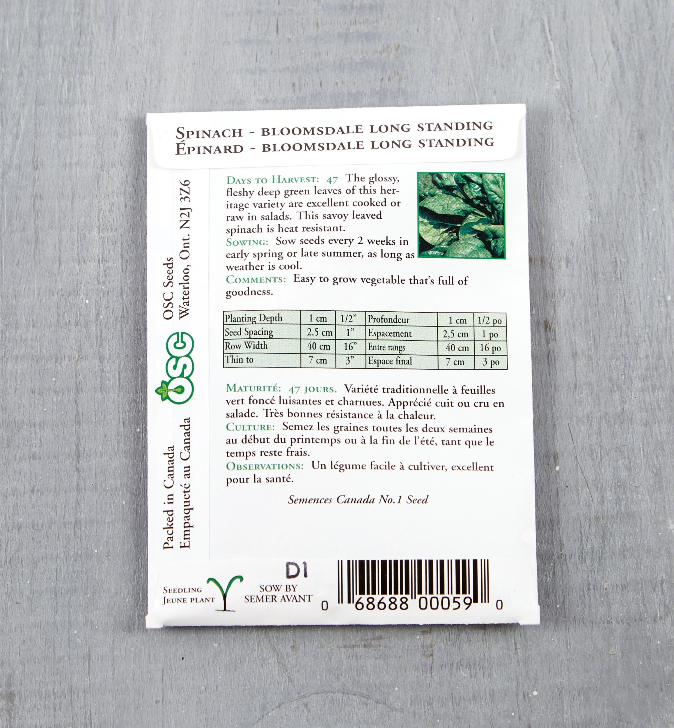Sachet de semences d'épinard OSC