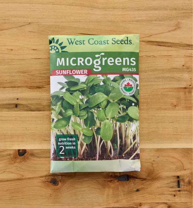 image of Graines pour micropousses biologiques – Tournesol