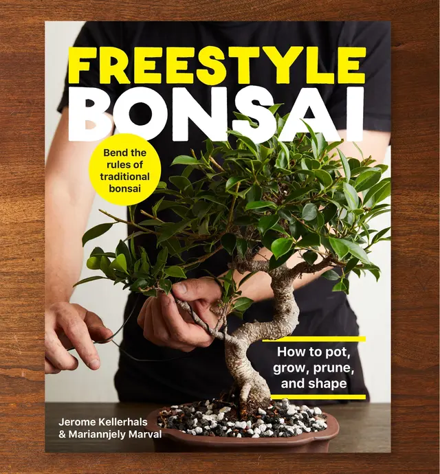 image of Freestyle Bonsai