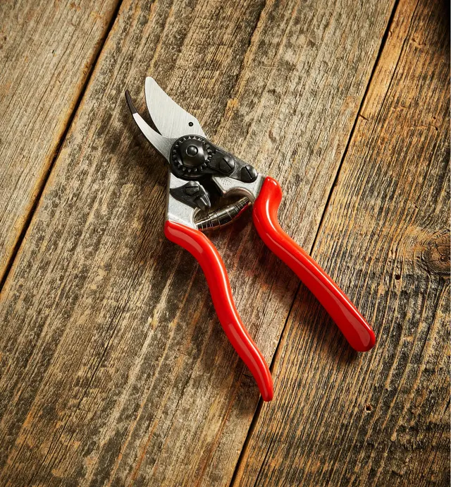 image of Felco #6 Pruner