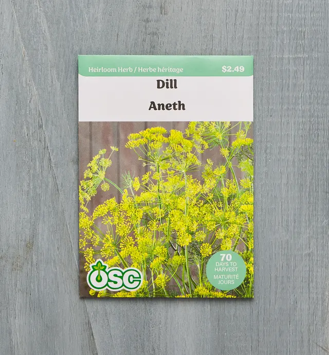 image of Sachet de semences de aneth biologique OSC