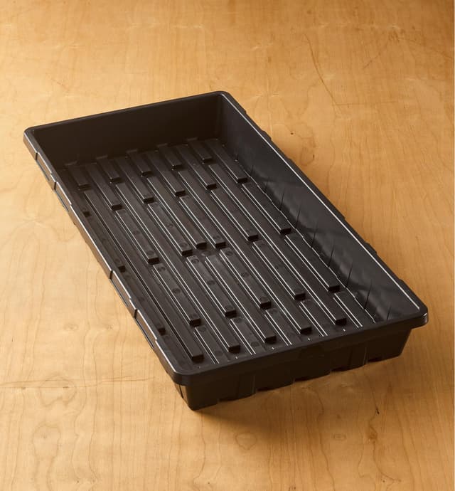 image of Propagation Tray