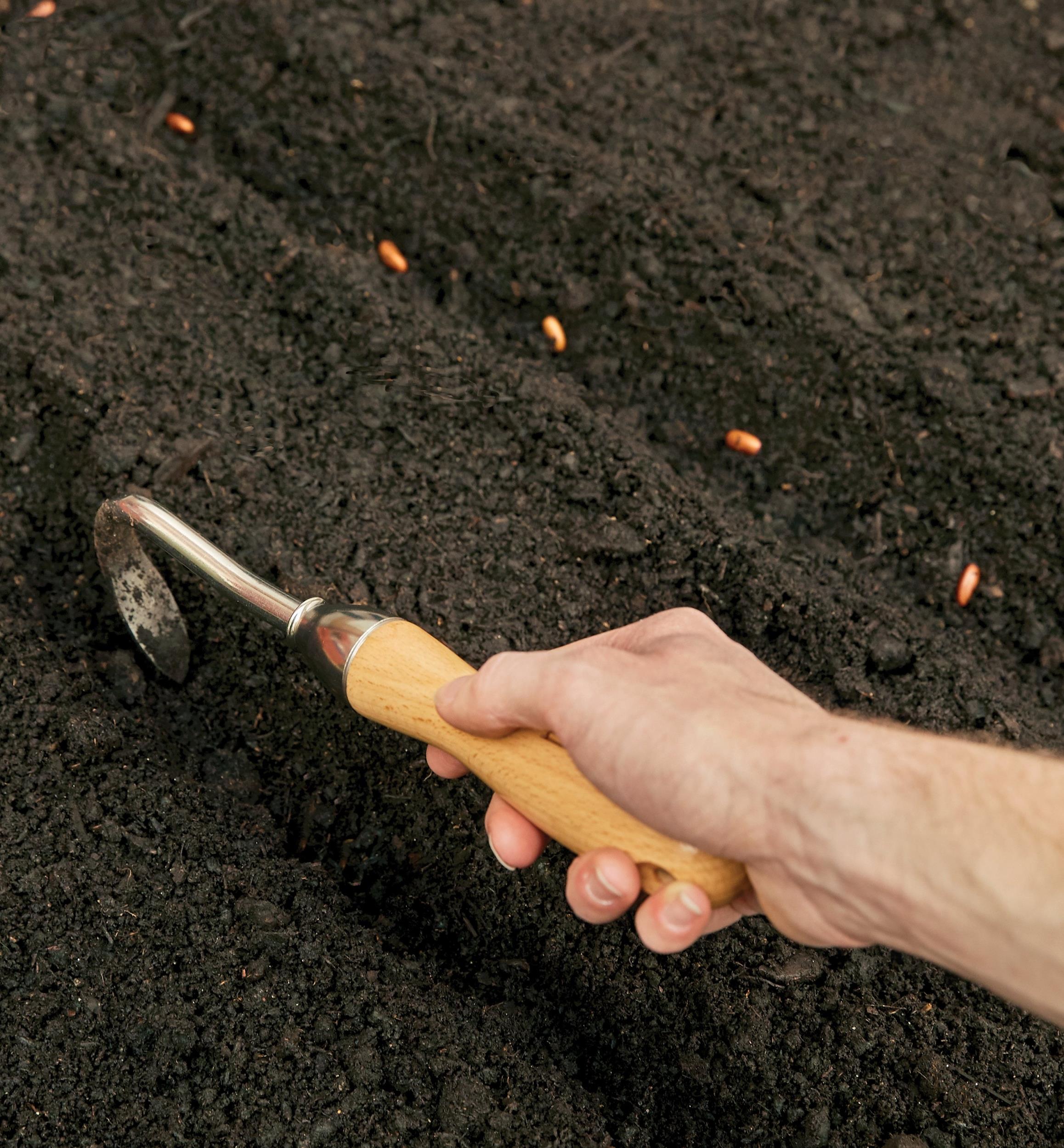 Sarcloir à une dent Lee Valley