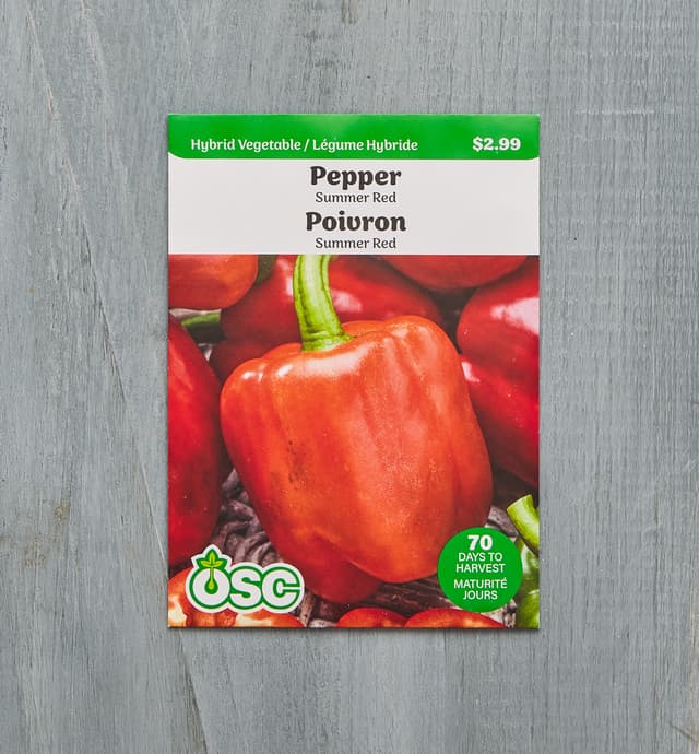 image of Sachet de semences OSC – Poivron Summer Red