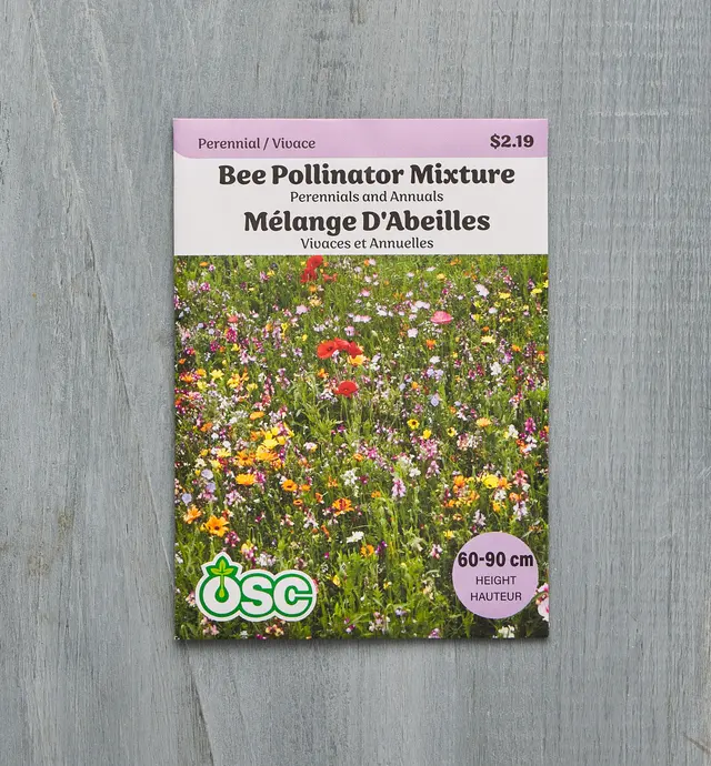 image of Mélange pour abeilles – vivaces et annuelles OSC