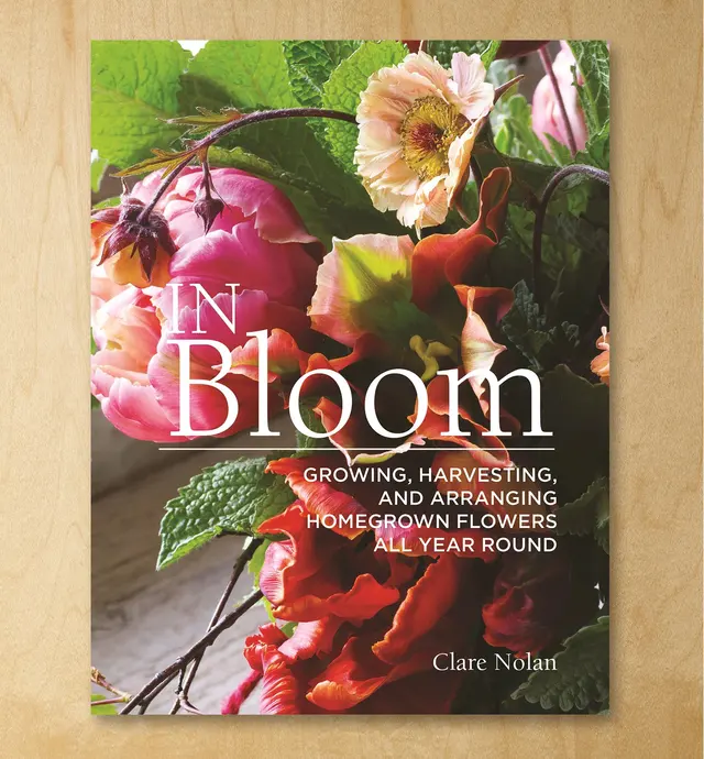 image of In Bloom