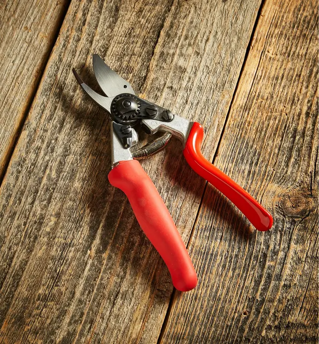image of Felco #12 Pruner