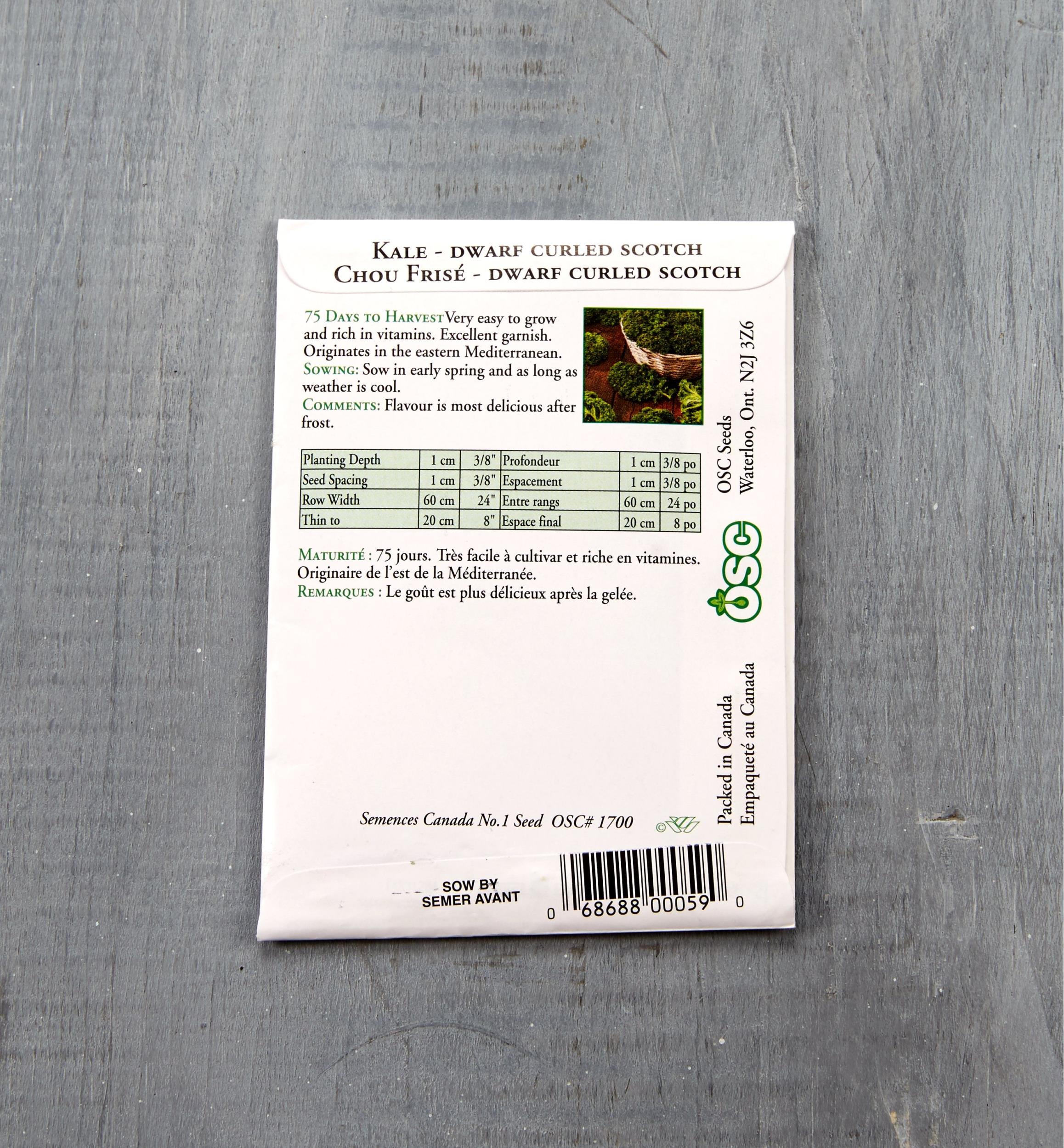 Sachet de semences de chou frisé OSC