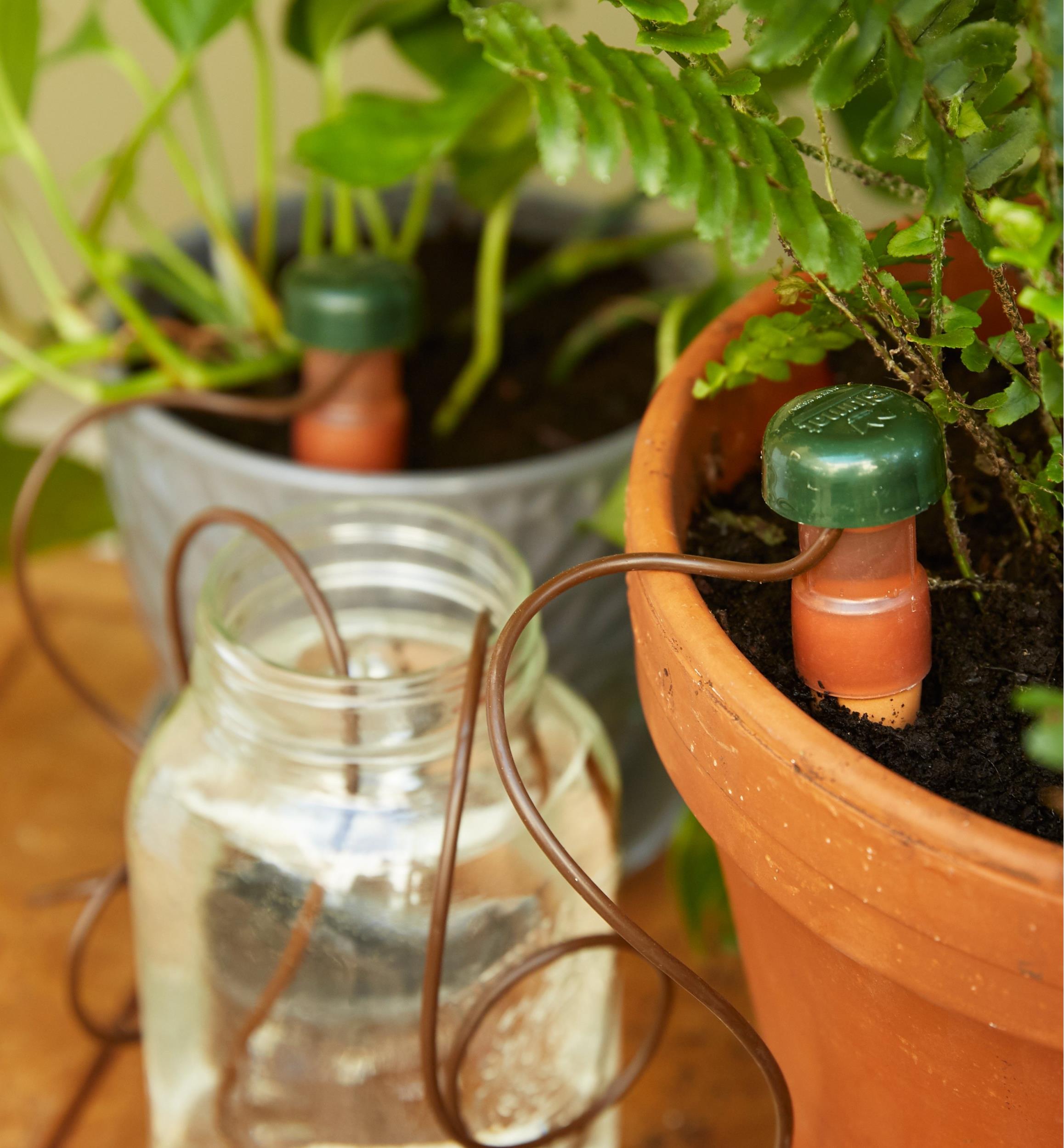 Arrosoir Longue Spout Arrosoir Intérieur, Petite Plante Arrosoir, Petit