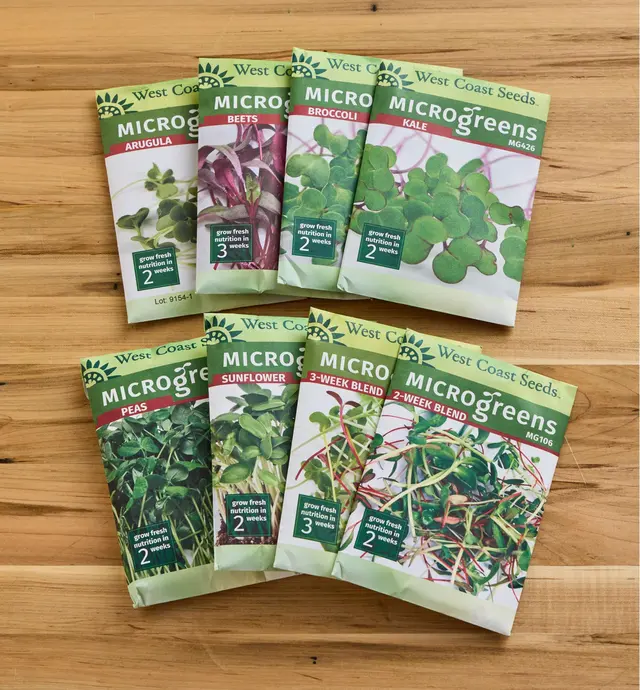 image of Sachets de graines pour micropousses sans OGM