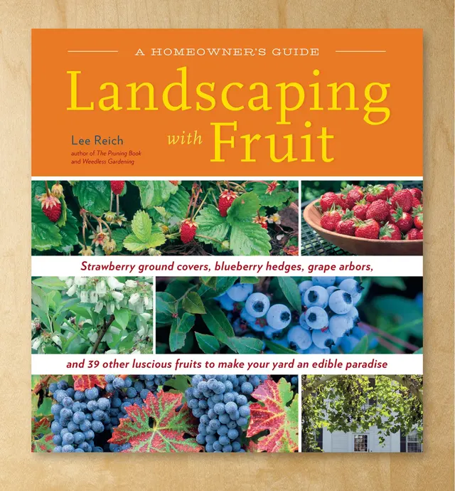 image of Landscaping with Fruit