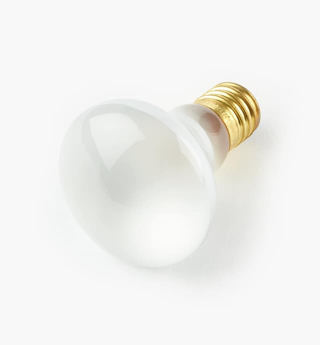 image of 40W Replacement Bulb for Mini Swivel Lights