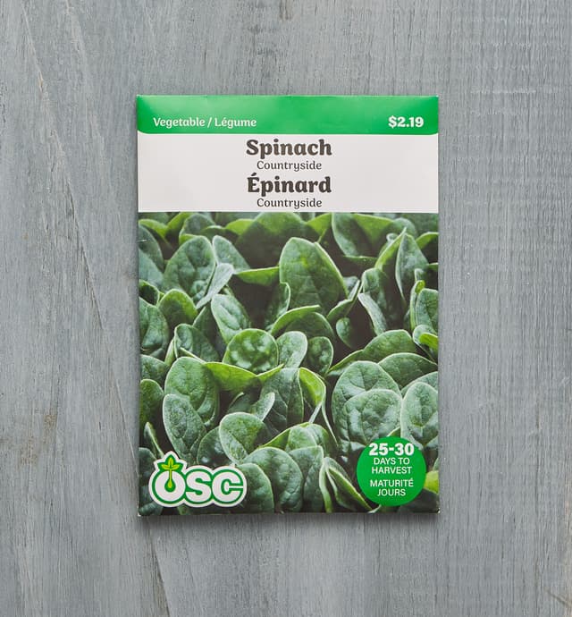 image of Sachet de semences OSC – Épinard Countryside
