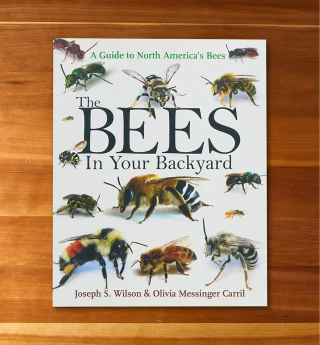 image of The Bees in Your Backyard