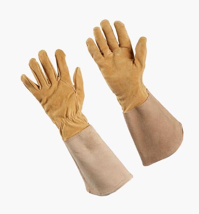 image of Rose Gloves, Menâs Sizes