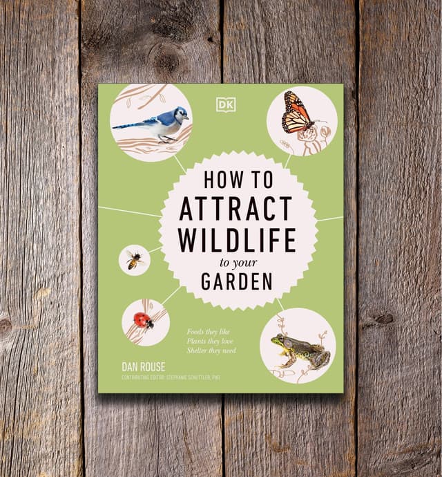 image of How to Attract Wildlife to Your Garden