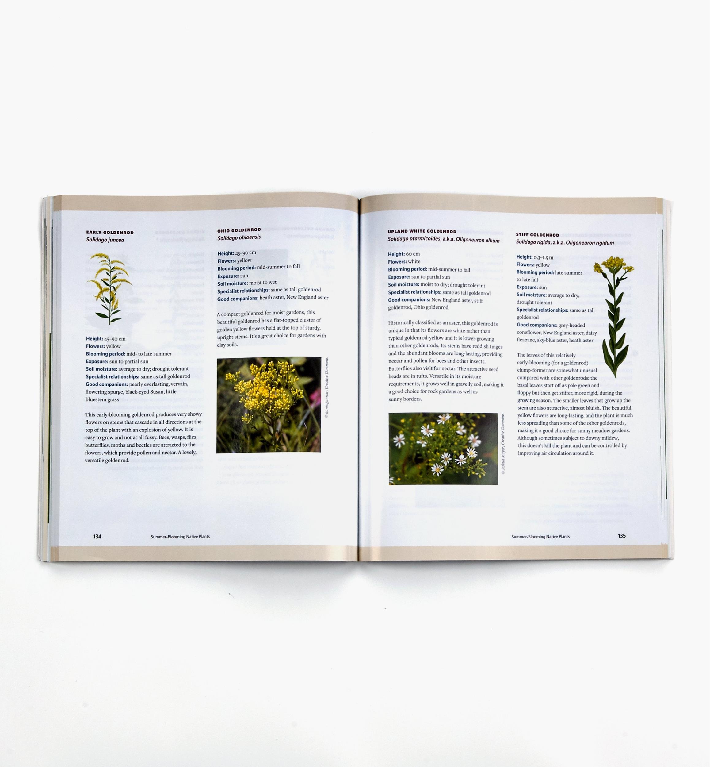 A Garden for the Rusty-Patched Bumblebee: Creating Habitat for Native Pollinators – Ontario and Great Lakes Edition