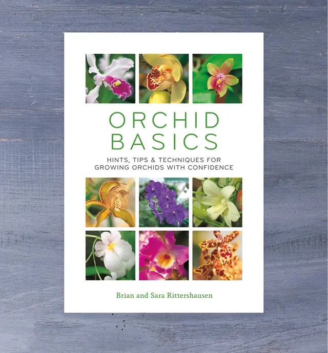 image of Orchid Basics – Hints, Tips & Techniques for Growing Orchids with Confidence