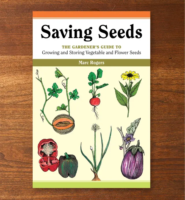 image of Saving Seeds