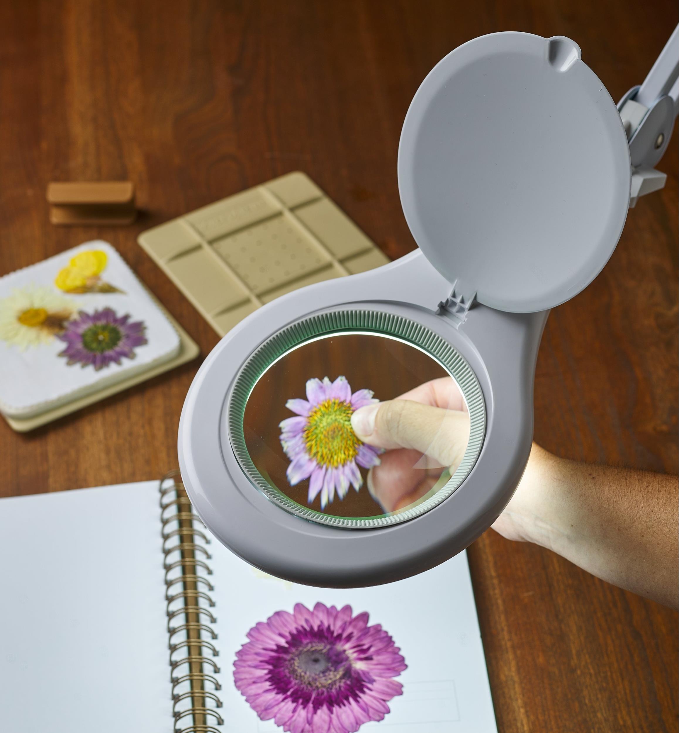 Lampe loupe d'établi à DEL