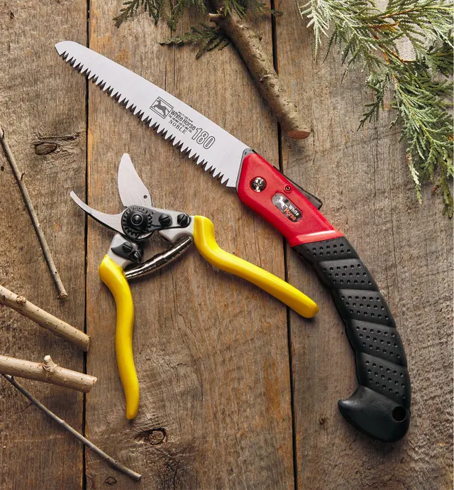 image of Pruning Set