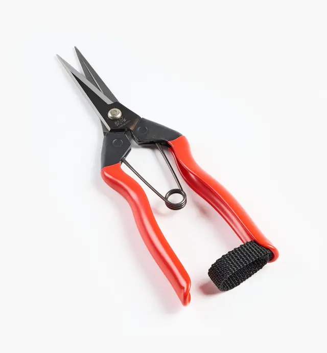 image of Garden Snips