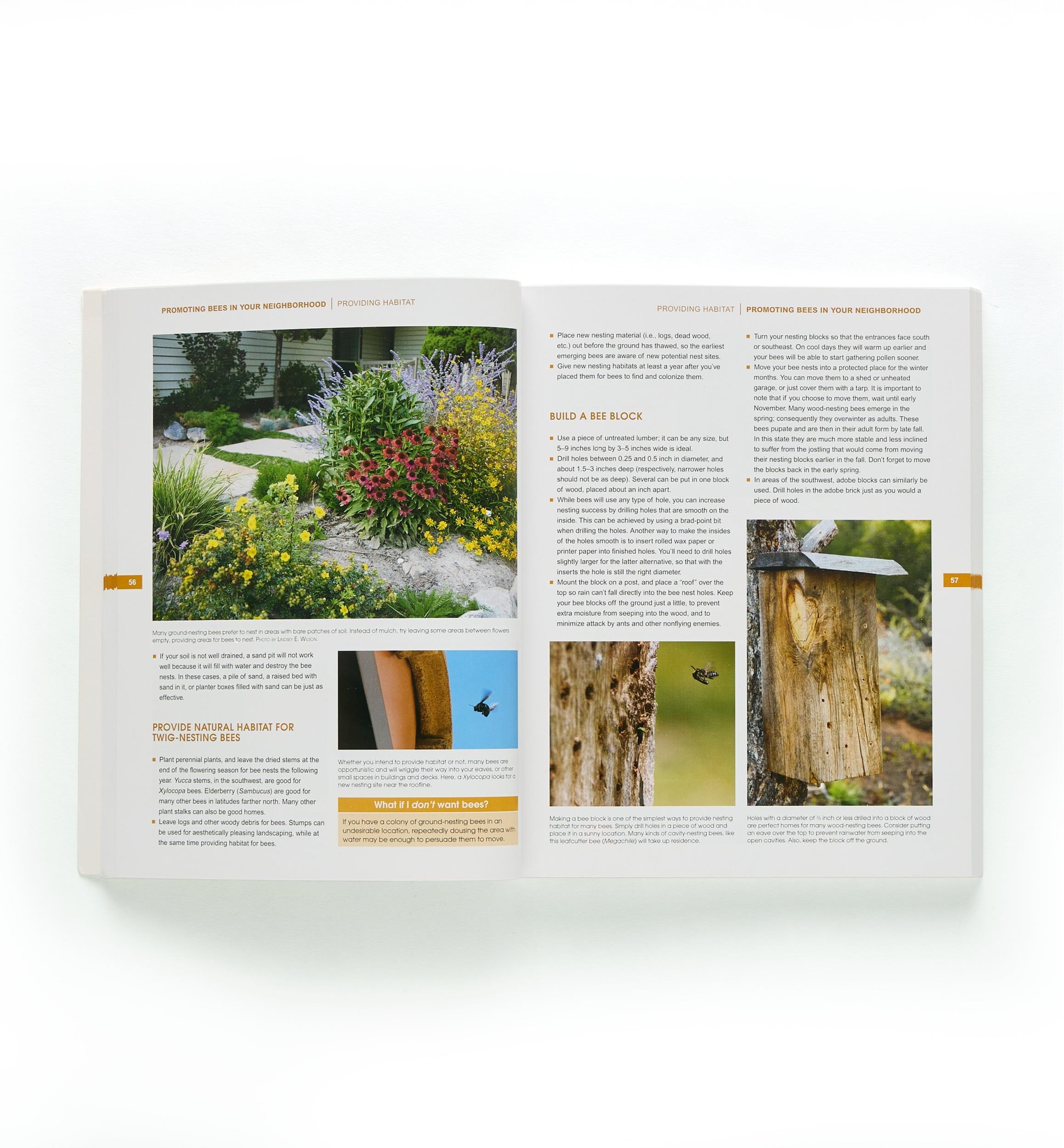 The Bees in Your Backyard
