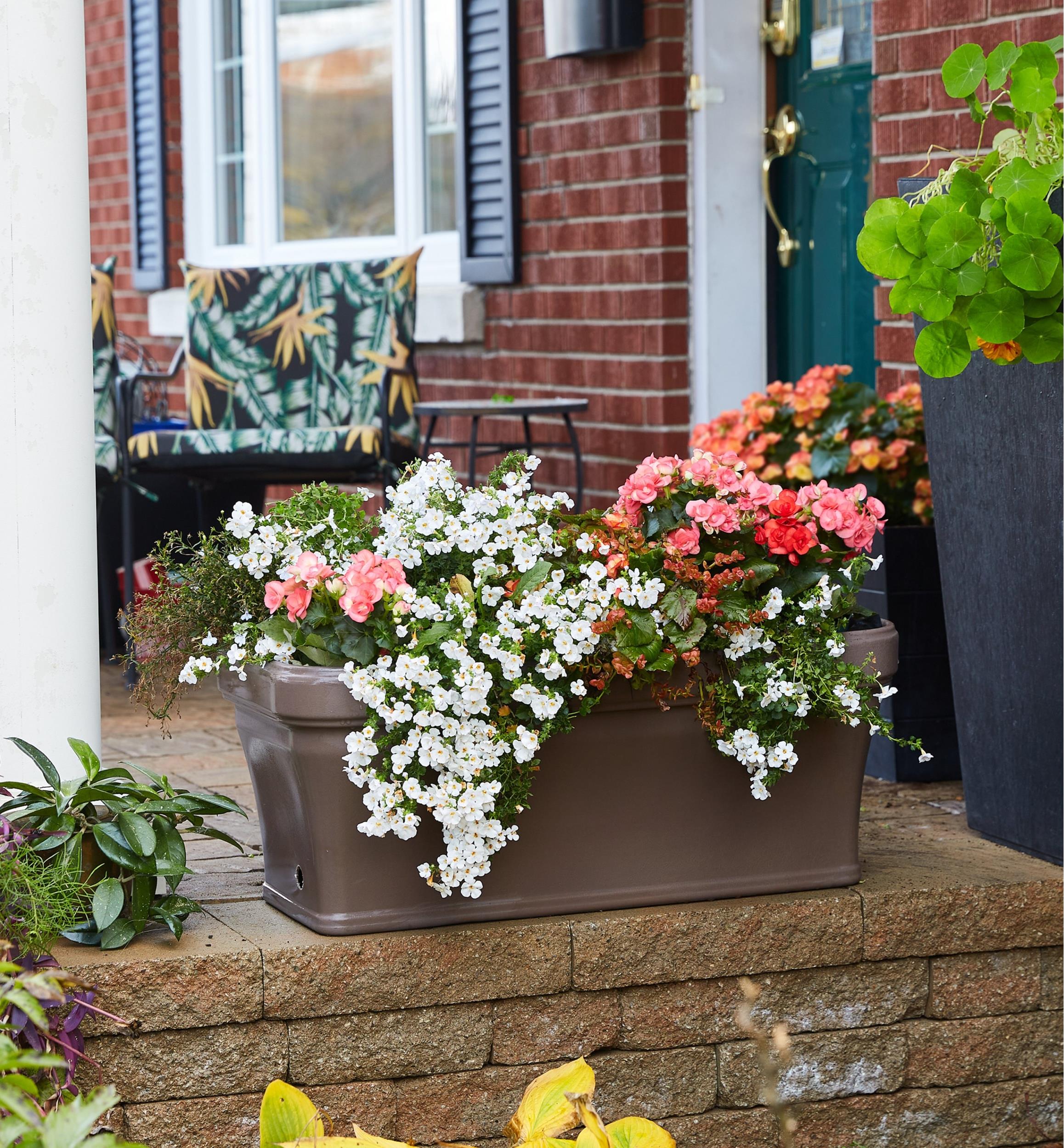 Bac de culture à réservoir intégré