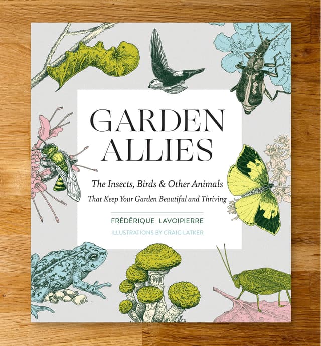 image of Garden Allies