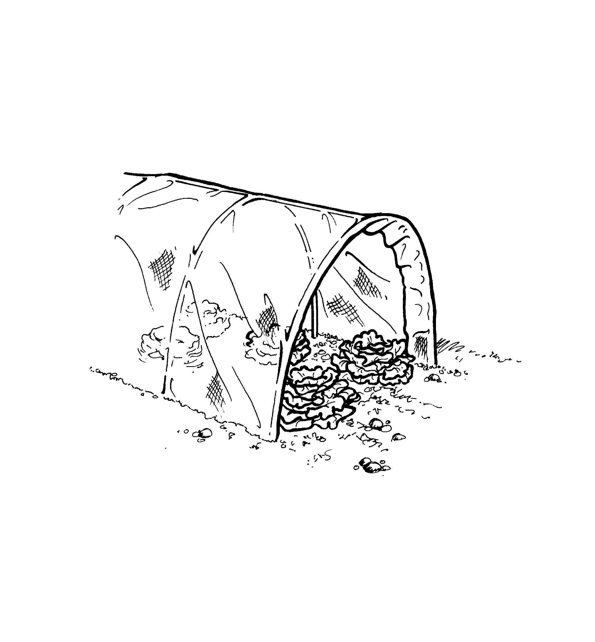 Shade Cloth