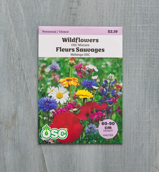 image of Mélange de fleurs sauvages – soleil/mi-soleil sachets de semences OSC