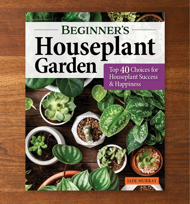 image of Beginner's Houseplant Garden