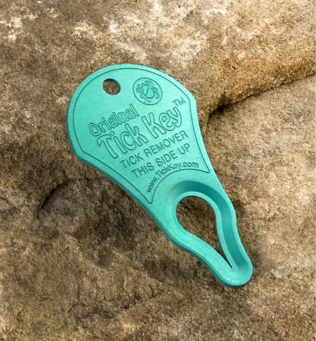 image of Tick Key Tick Remover
