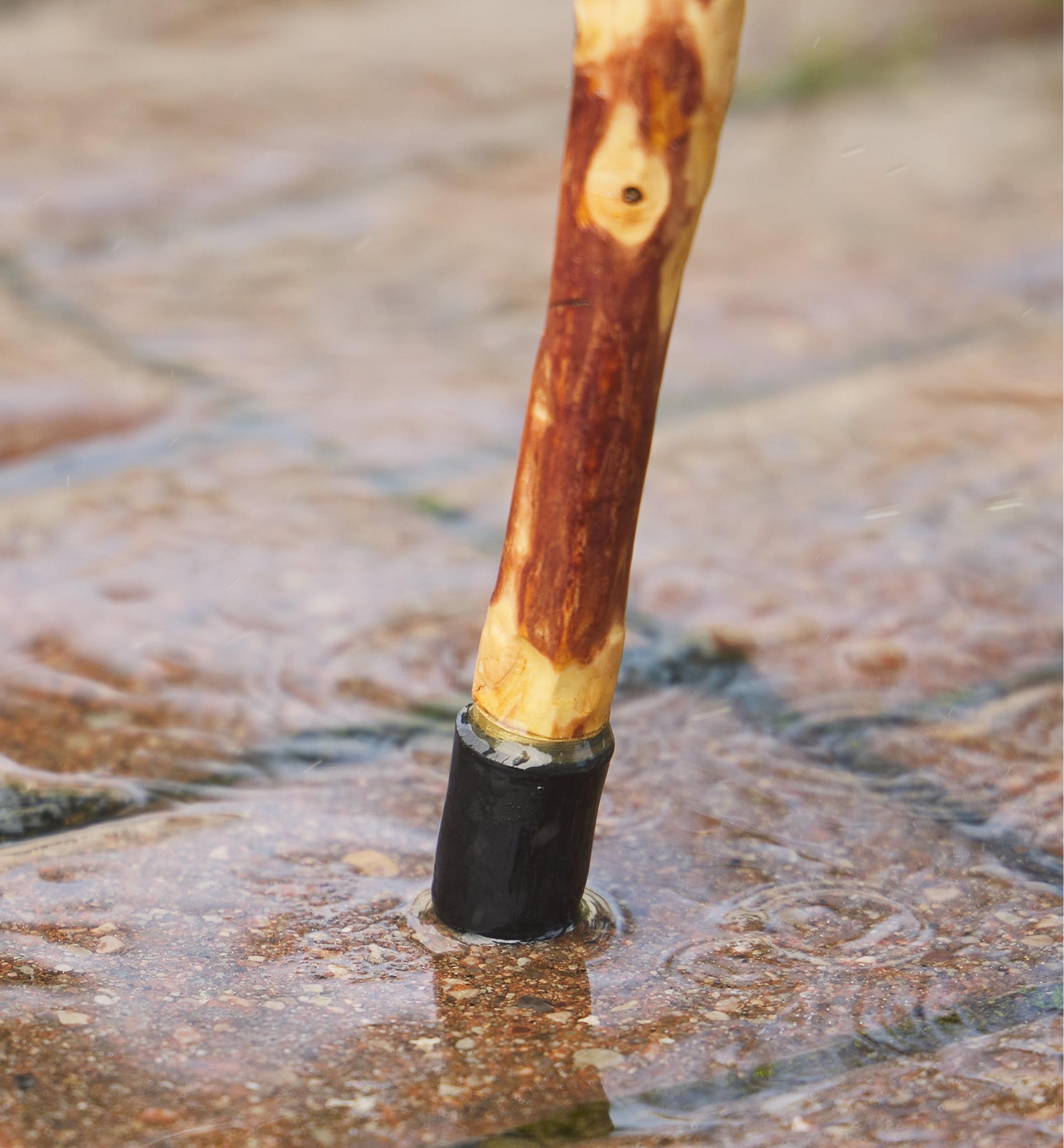 Rubber/Brass Cane Tip