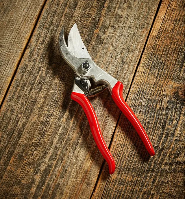image of Felco #4 Pruner
