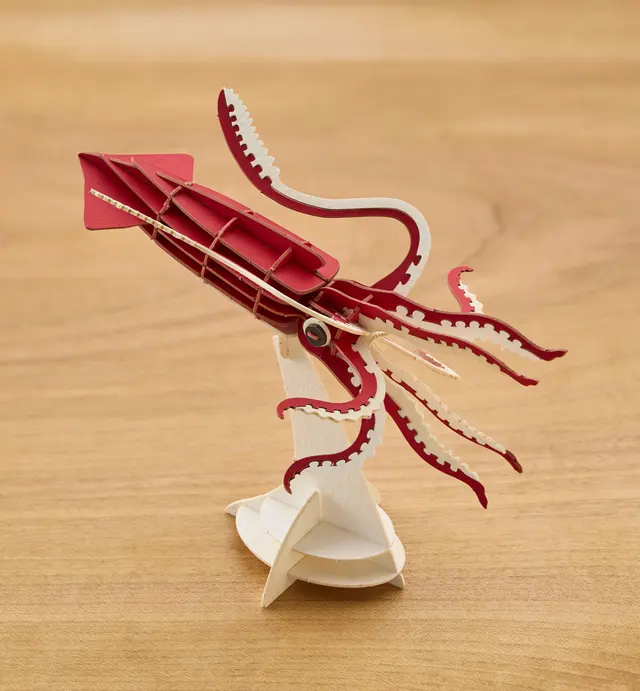 image of Paper Squid Model