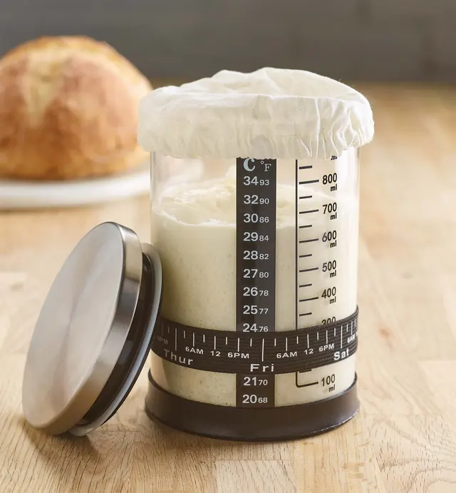 A sourdough starter jar filled with active starter and covered with a cotton cap