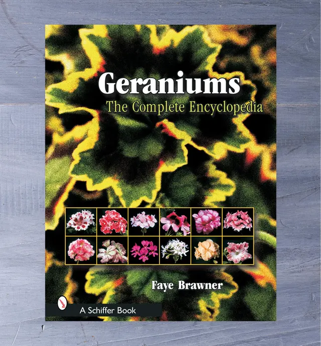 image of Geraniums
