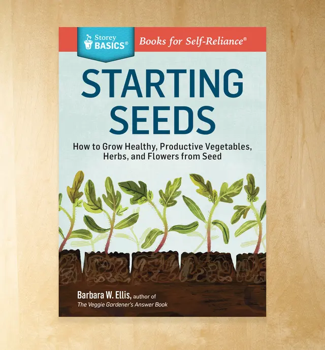 image of Starting Seeds
