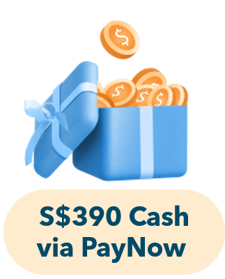 S$390 Cash via PayNow